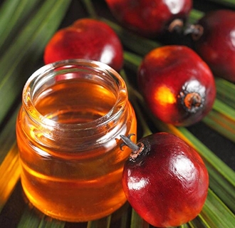 棕櫚油精煉和分提之間有什么關聯？