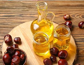 棕櫚油備受市場青睞的原因有哪些？華泰精煉設備廠家