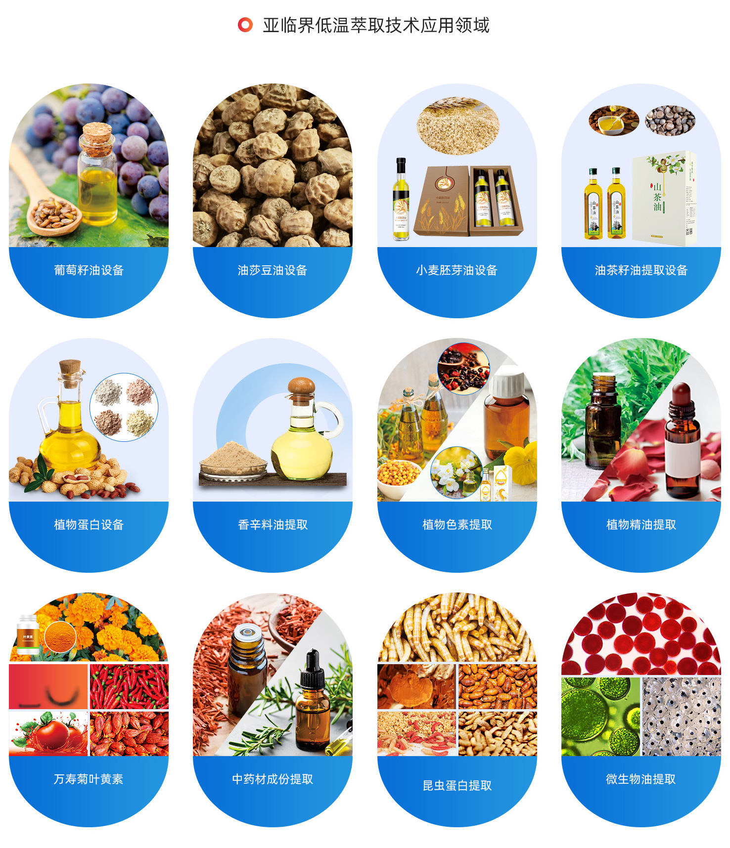 亞臨界低溫油脂精煉設備