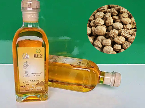 油莎豆生產線解決方案