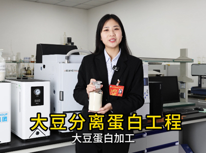 產品視頻|大豆分離蛋白生產工藝及提取設備