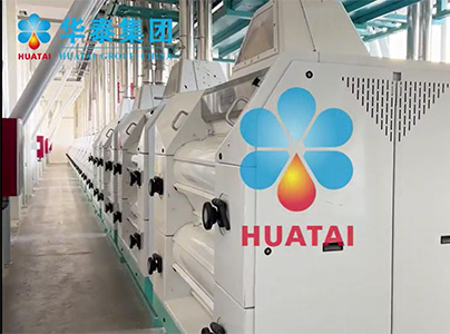 產品視頻|日加工800噸小麥面粉生產線