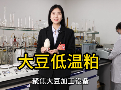 產品視頻|大豆低溫粕加工成套設備