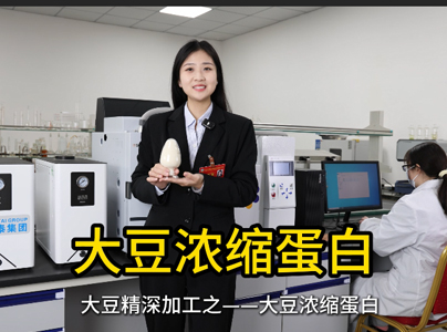 產品視頻|大豆濃縮蛋白生產工藝及提取設備