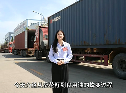 葵花籽油精煉生產線