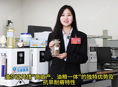 產品視頻|油莎豆油生產成套設備