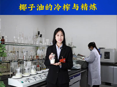 產品視頻|椰子油冷榨精煉生產線