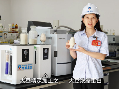 產品視頻|大豆蛋白提取生產工藝及設備