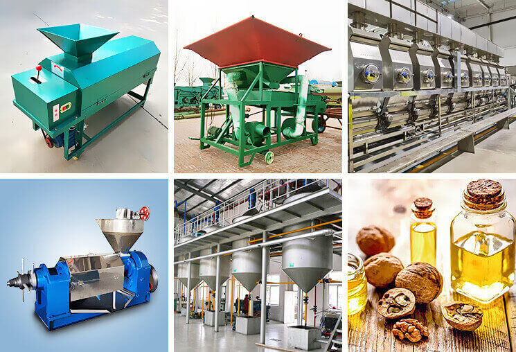 核桃油生產線方案